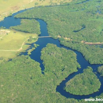 Pantanal/MS
