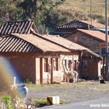 Sacred Valley/Peru